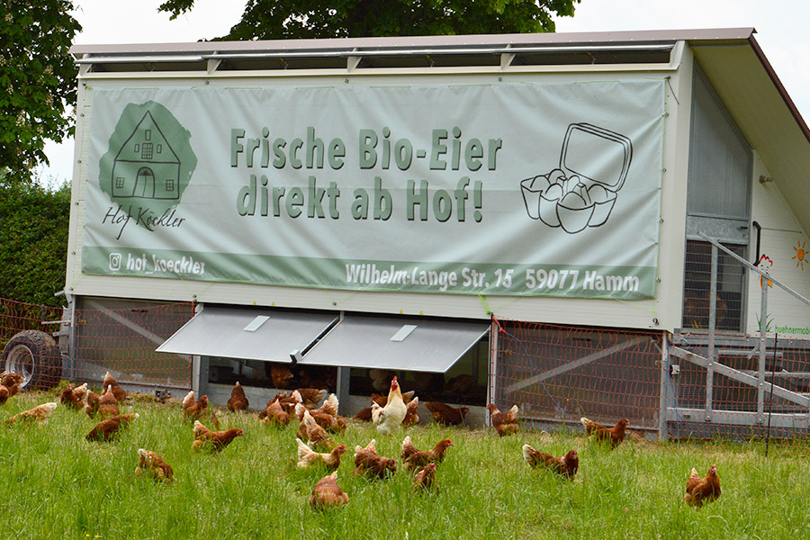 Hennen Hof Köckler